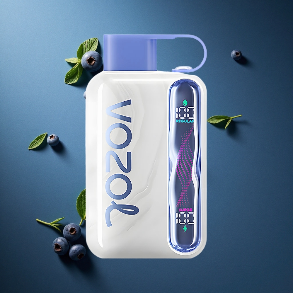 VOZOL STAR 40000 Αχιβάδα Δυόσμος 1000mAh Type-C