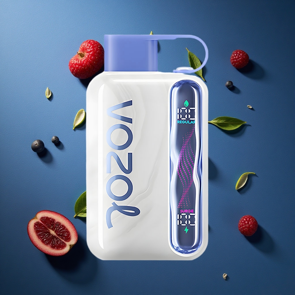 VOZOL STAR 40000 Puffs Απαραίτητη Vape Μπλε Ρασ Πάγος 1000mAh Type-C